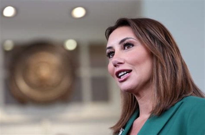 Discovering the Enigma: Alina Habba's Height and More