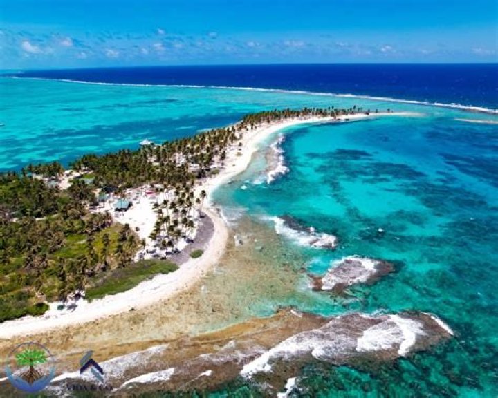 Exploring the Allure of Lela Sohna Nude: A Deep Dive