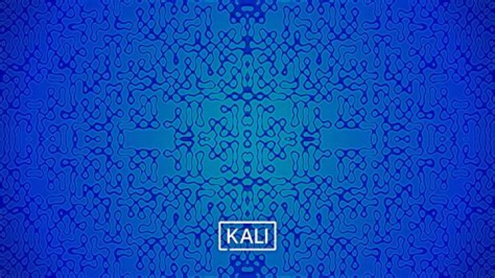 Kali Official Leaked: Unveiling the Secrets Behind the Controversy