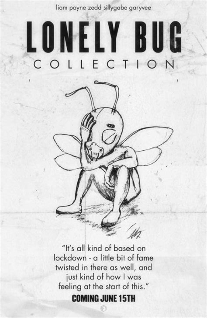 Liam Payne's Journey Through the "Lonely Bug" Experience