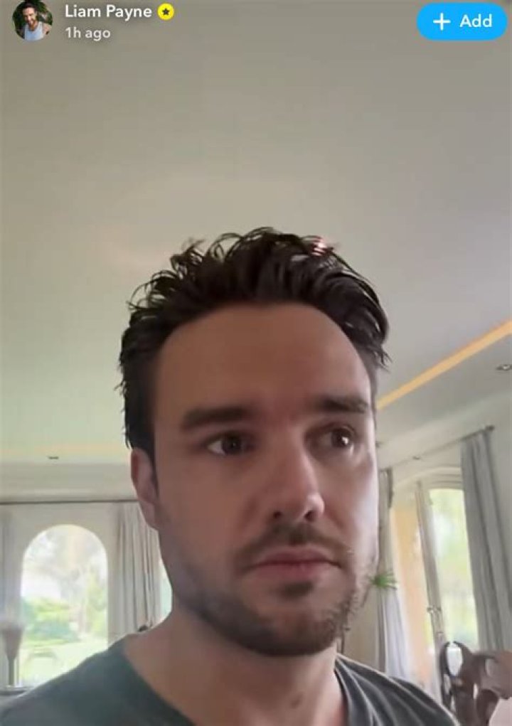 Liam Payne: A Glimpse Through His Headshot