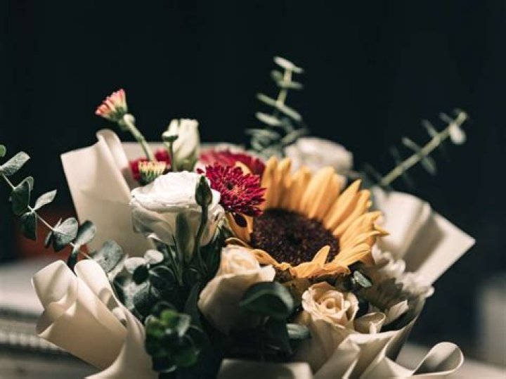 Noelle's Stunning Nude Moments: A Celebration of Art and Beauty