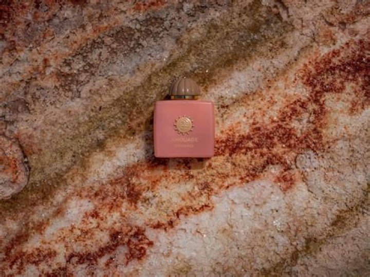 Unraveling the Miamimacy of Leaks: A Deep Dive into the Intricacies of Information Exposure