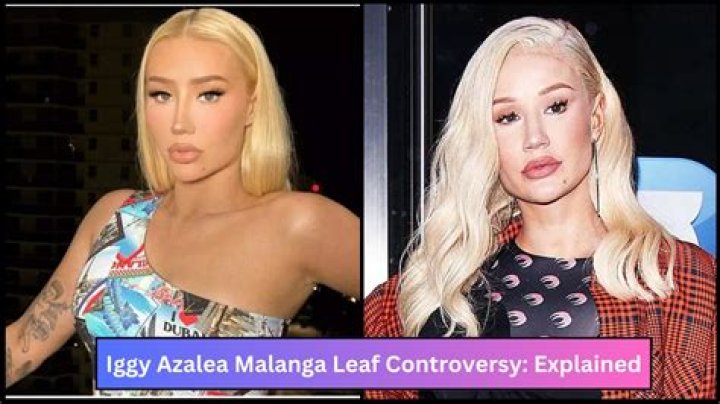 Unveiling the Controversy: Iggy Azalea Leaked Of