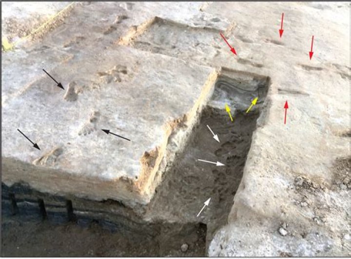 Ximena Saenz: Unveiling the Controversy of the Leak